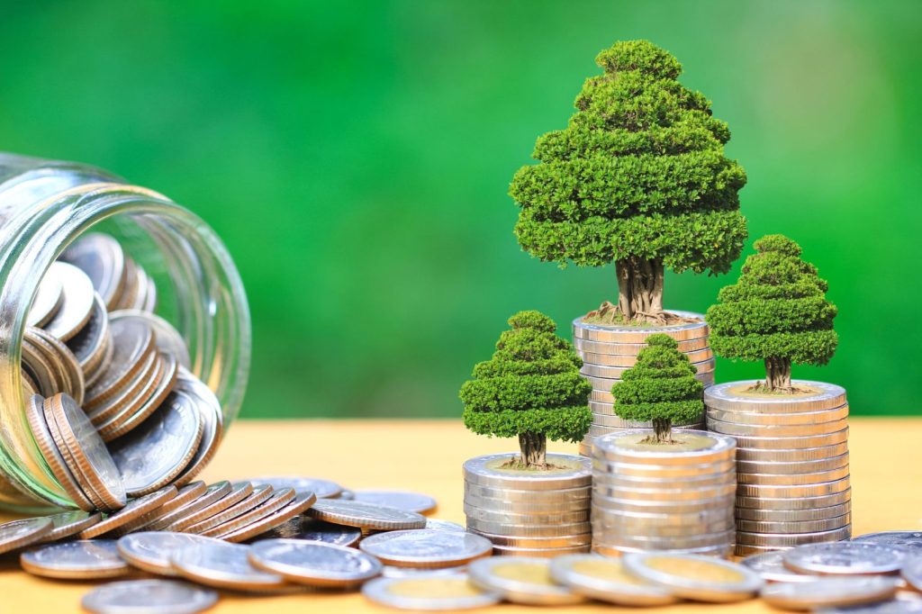 Economia Verde